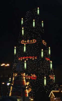 The Tree Again