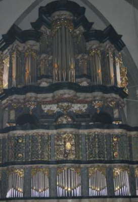 Organ